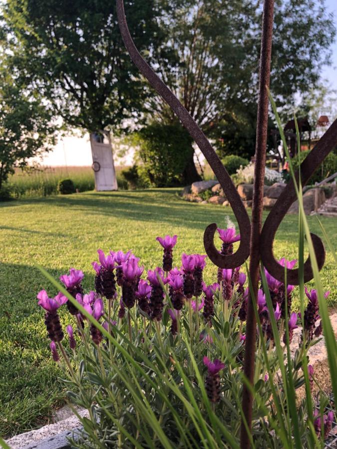 Ferienwohnung Thiergarten Mistelgau Εξωτερικό φωτογραφία